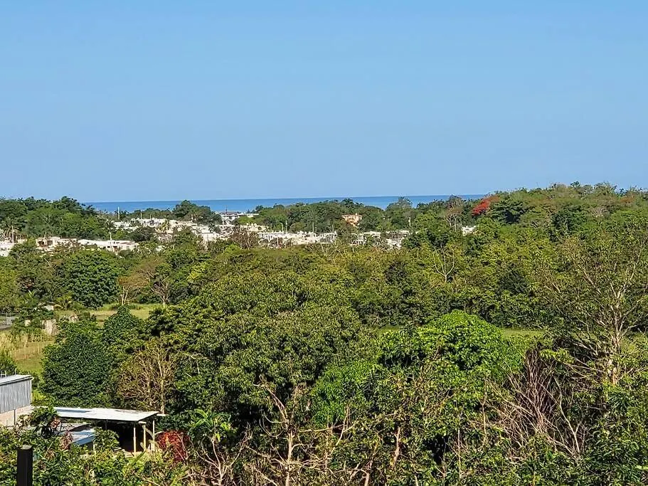 Villa Patria Guest House Cabo Rojo Apartment